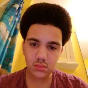 Meet your Posher, Theo